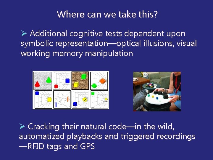 Where can we take this? Ø Additional cognitive tests dependent upon symbolic representation—optical illusions,