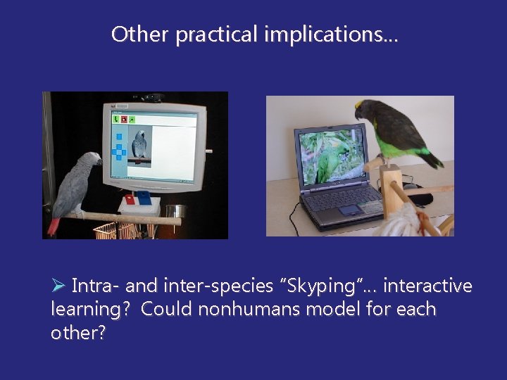 Other practical implications… Ø Intra- and inter-species “Skyping”… interactive learning? Could nonhumans model for