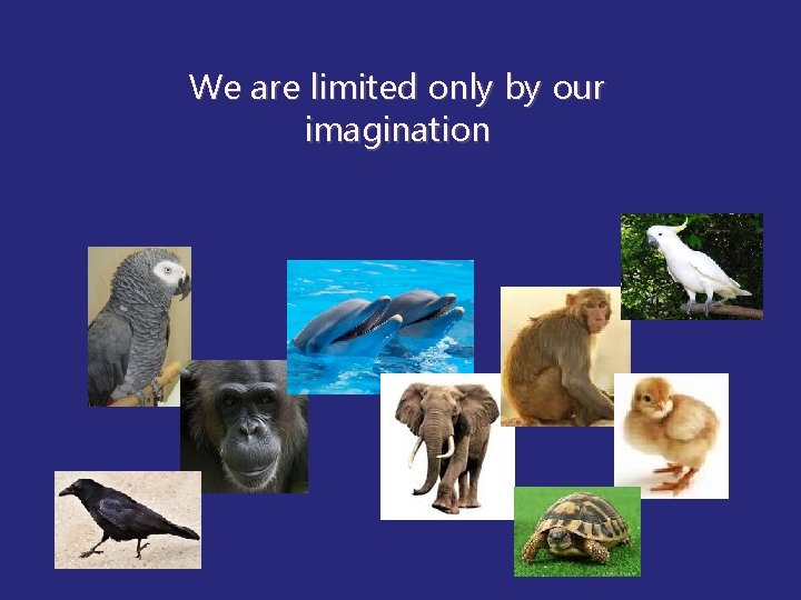 We are limited only by our imagination 