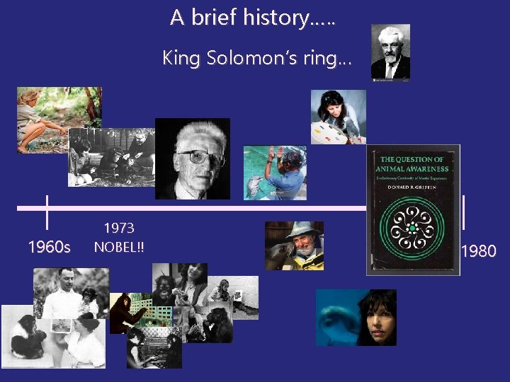 A brief history…. . King Solomon’s ring… 1960 s 1973 NOBEL!! 1980 