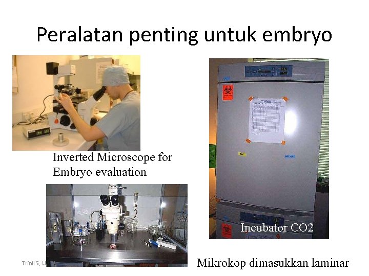 Peralatan penting untuk embryo Inverted Microscope for Embryo evaluation Incubator CO 2 Trinil S,