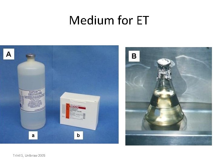 Medium for ET Trinil S, Unibraw 2005 