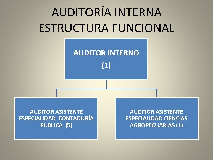AUDITORÍA INTERNA ESTRUCTURA FUNCIONAL AUDITOR INTERNO (1) AUDITOR ASISTENTE ESPECIALIDAD CONTADURÍA PÚBLICA (5) AUDITOR