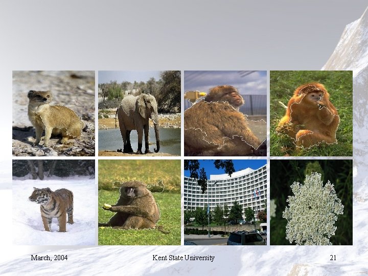 March, 2004 Kent State University 21 