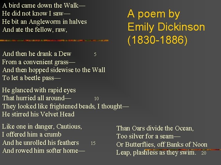 A bird came down the Walk— He did not know I saw— He bit