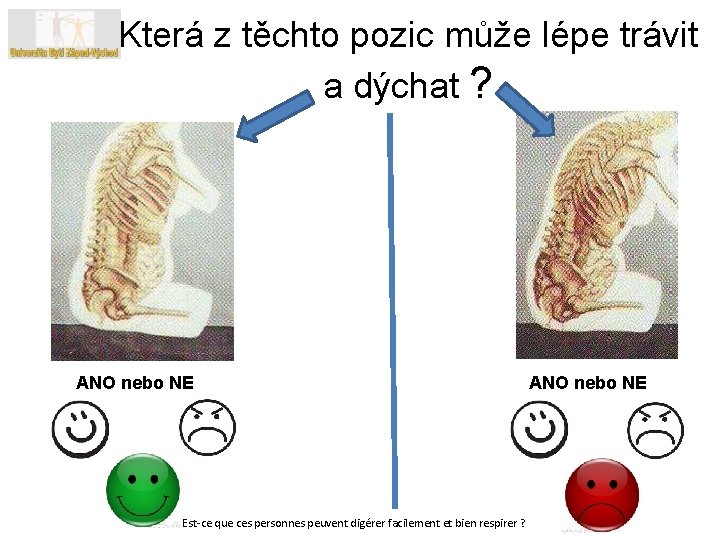 Která z těchto pozic může lépe trávit a dýchat ? ANO nebo NE Est-ce