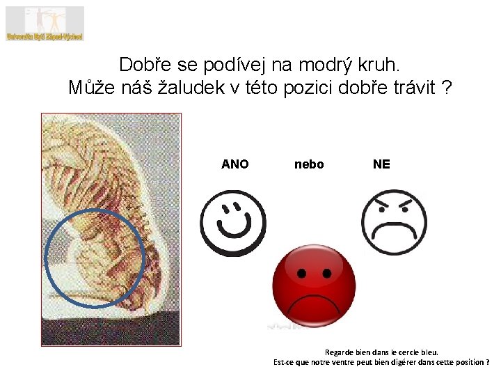 Dobře se podívej na modrý kruh. Může náš žaludek v této pozici dobře trávit