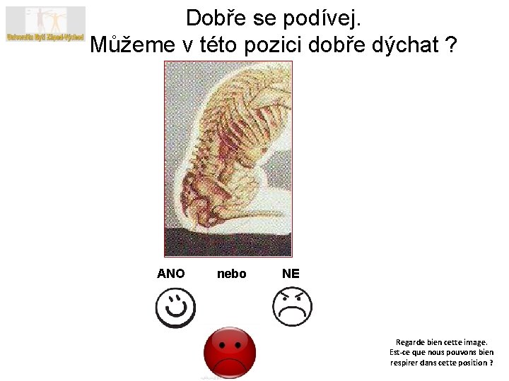 Dobře se podívej. Můžeme v této pozici dobře dýchat ? ANO nebo NE Regarde