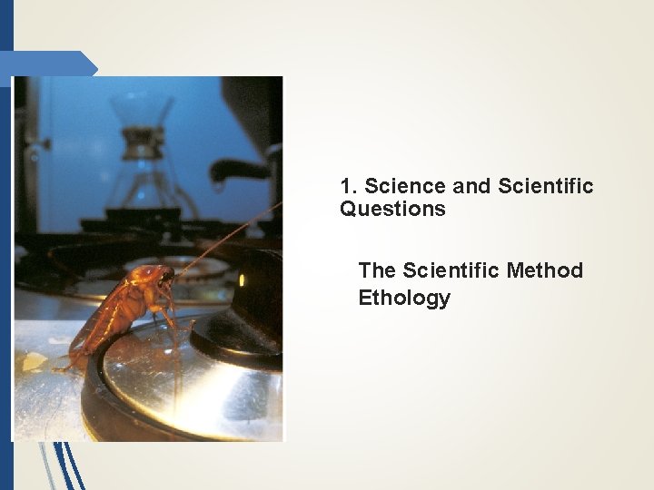 1. Science and Scientific Questions The Scientific Method Ethology 