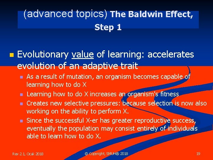 (advanced topics) The Baldwin Effect, Step 1 n Evolutionary value of learning: accelerates evolution