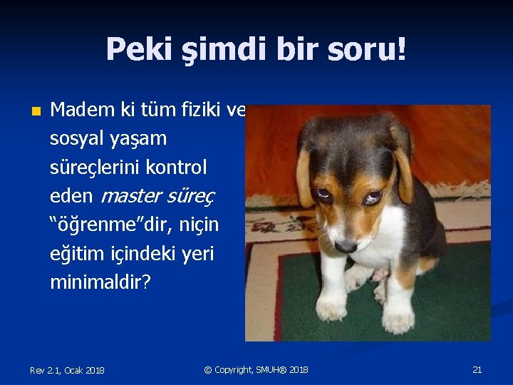 Peki şimdi bir soru! n Madem ki tüm fiziki ve sosyal yaşam süreçlerini kontrol