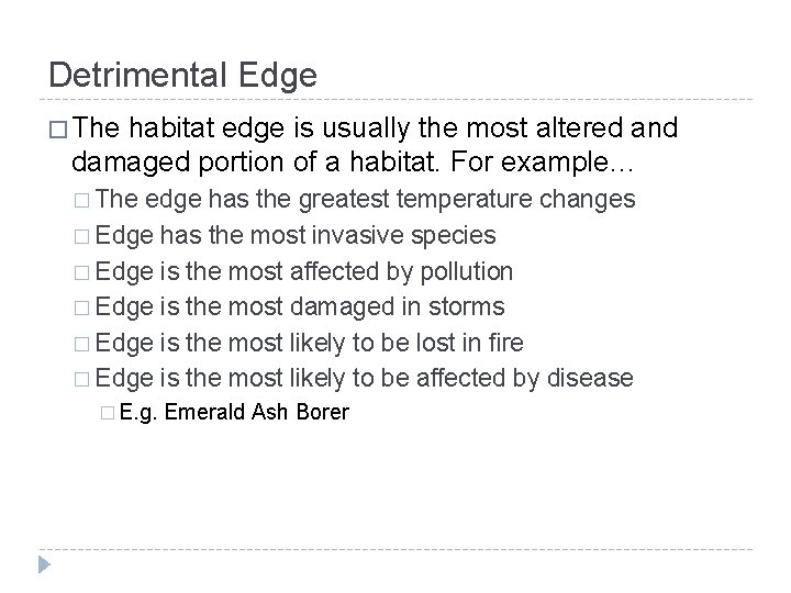 Detrimental Edge � The habitat edge is usually the most altered and damaged portion