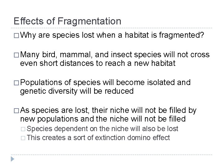 Effects of Fragmentation � Why are species lost when a habitat is fragmented? �