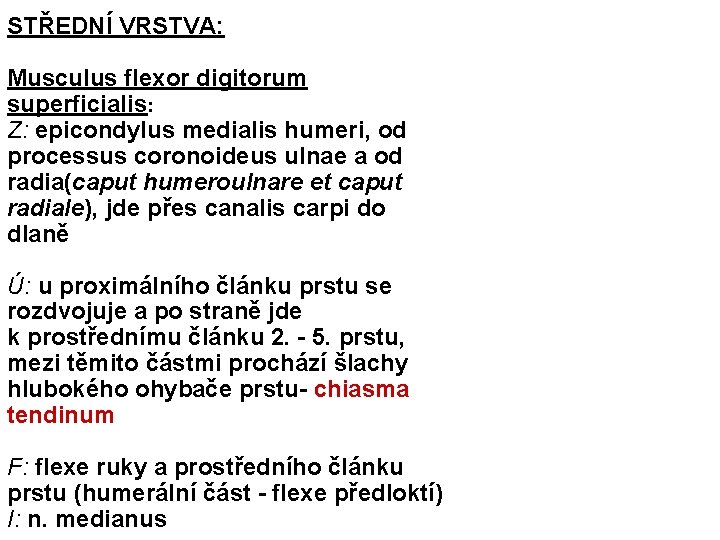STŘEDNÍ VRSTVA: Musculus flexor digitorum superficialis: Z: epicondylus medialis humeri, od processus coronoideus ulnae
