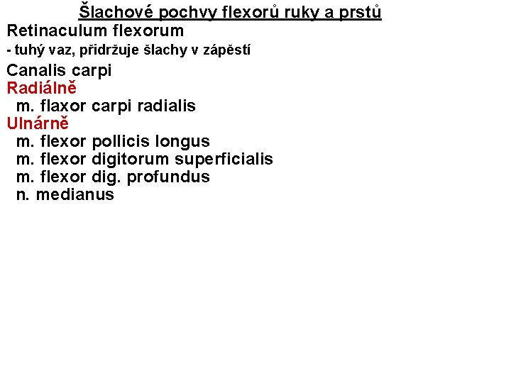 Šlachové pochvy flexorů ruky a prstů Retinaculum flexorum - tuhý vaz, přidržuje šlachy v