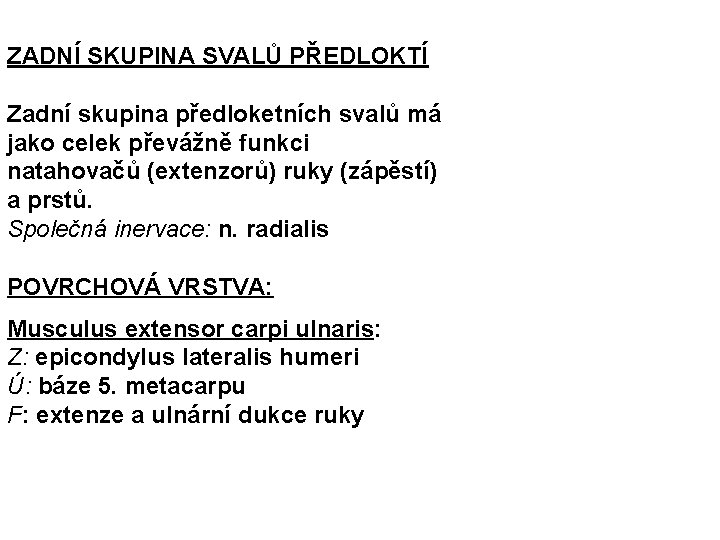 ZADNÍ SKUPINA SVALŮ PŘEDLOKTÍ Zadní skupina předloketních svalů má jako celek převážně funkci natahovačů