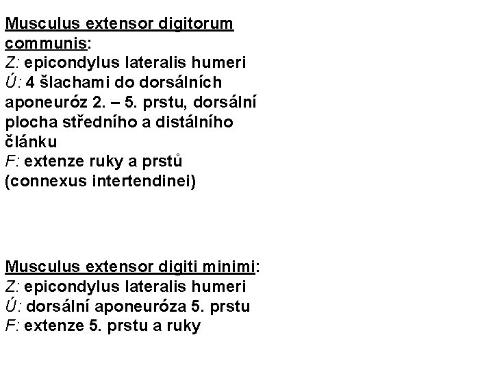 Musculus extensor digitorum communis: Z: epicondylus lateralis humeri Ú: 4 šlachami do dorsálních aponeuróz