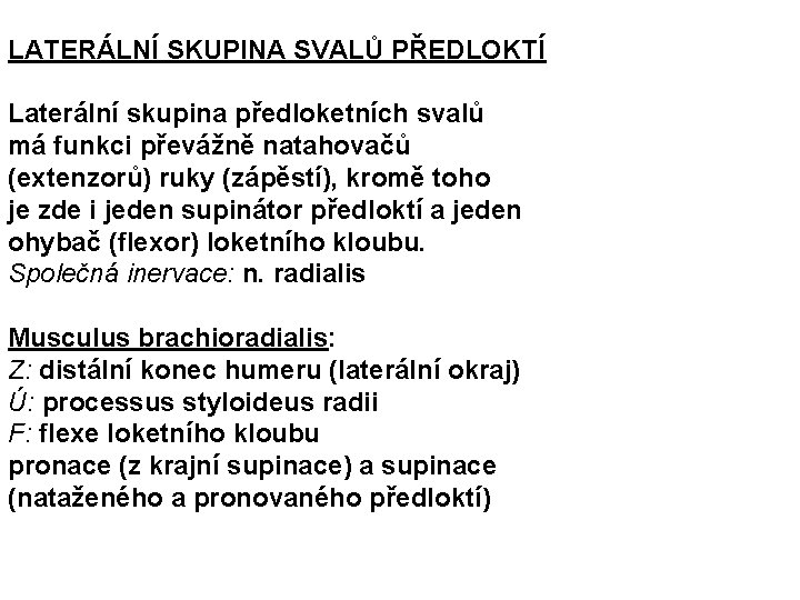 LATERÁLNÍ SKUPINA SVALŮ PŘEDLOKTÍ Laterální skupina předloketních svalů má funkci převážně natahovačů (extenzorů) ruky