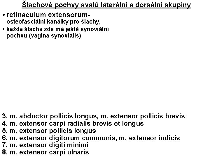 Šlachové pochvy svalů laterální a dorsální skupiny • retinaculum extensorumosteofasciální kanálky pro šlachy, •