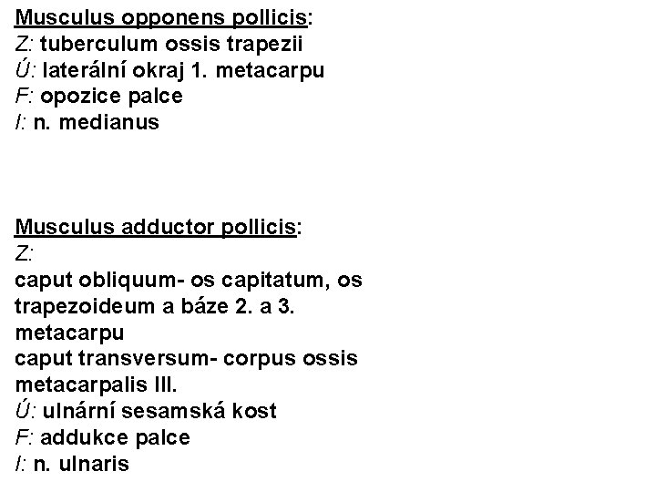 Musculus opponens pollicis: Z: tuberculum ossis trapezii Ú: laterální okraj 1. metacarpu F: opozice