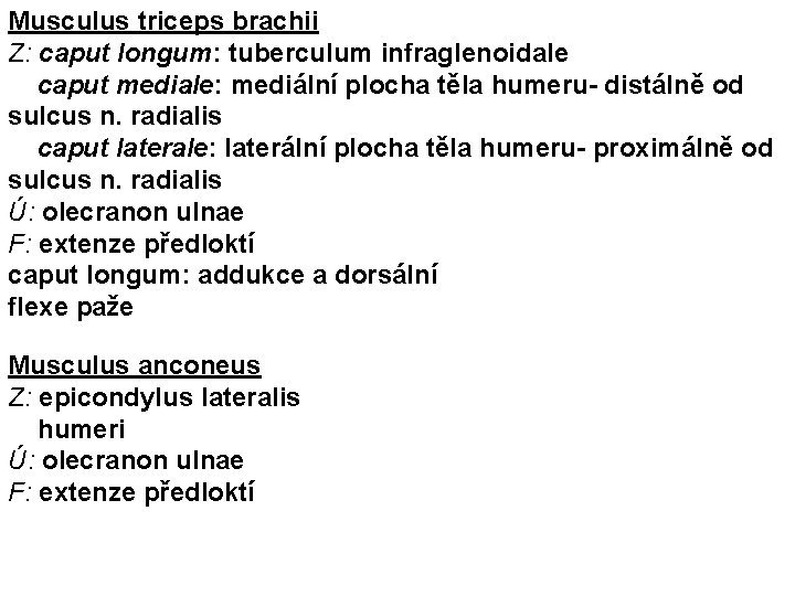 Musculus triceps brachii Z: caput longum: tuberculum infraglenoidale caput mediale: mediální plocha těla humeru-