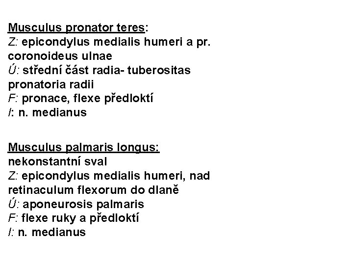 Musculus pronator teres: Z: epicondylus medialis humeri a pr. coronoideus ulnae Ú: střední část