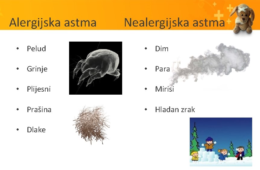 Alergijska astma Nealergijska astma • Pelud • Dim • Grinje • Para • Plijesni