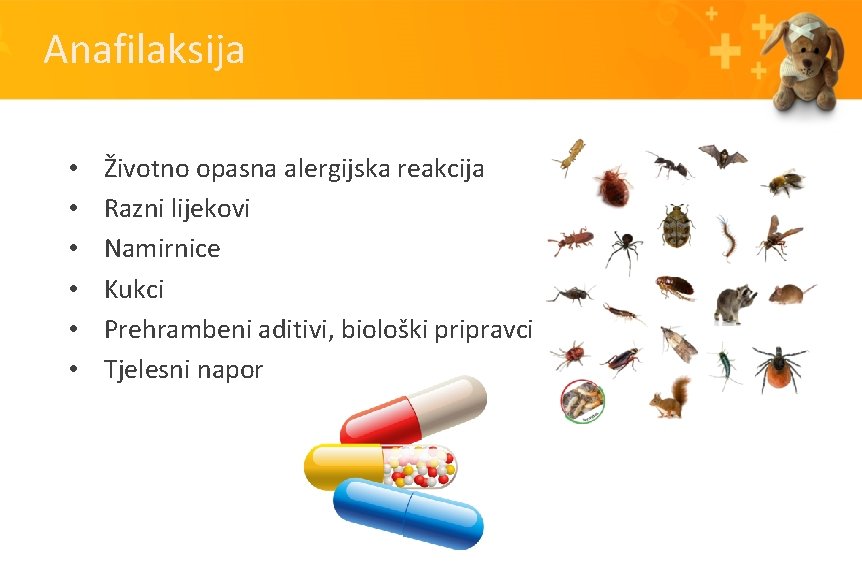 Anafilaksija • • • Životno opasna alergijska reakcija Razni lijekovi Namirnice Kukci Prehrambeni aditivi,