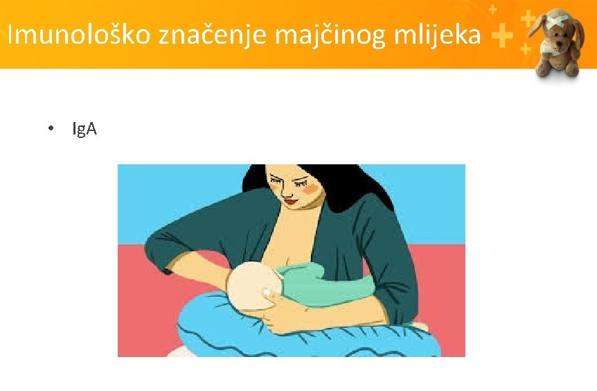 Imunološko značenje majčinog mlijeka • Ig. A 