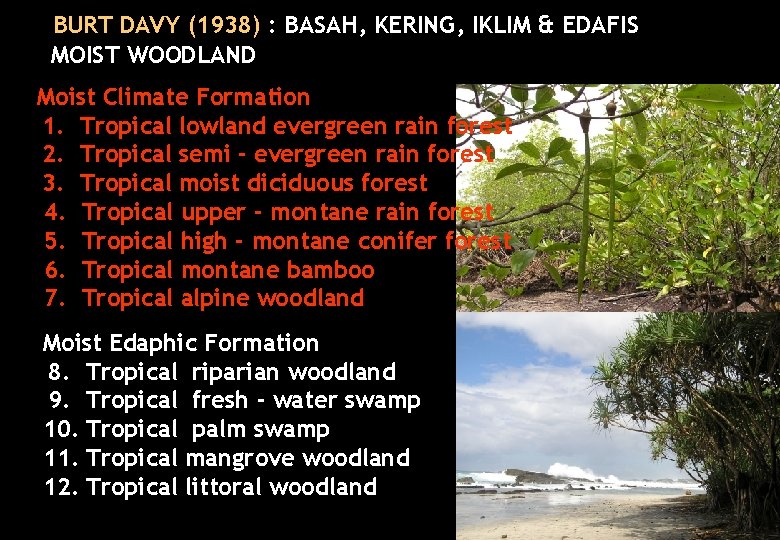 BURT DAVY (1938) : BASAH, KERING, IKLIM & EDAFIS MOIST WOODLAND Moist Climate Formation