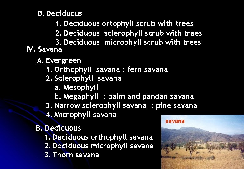 B. Deciduous 1. Deciduous ortophyll scrub with trees 2. Deciduous sclerophyll scrub with trees