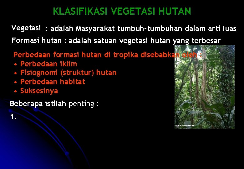 KLASIFIKASI VEGETASI HUTAN Vegetasi : adalah Masyarakat tumbuh-tumbuhan dalam arti luas Formasi hutan :