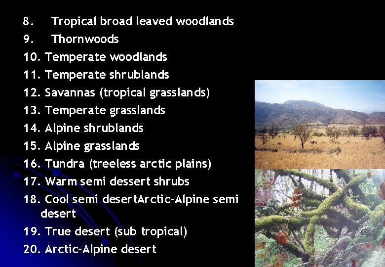 8. Tropical broad leaved woodlands 9. Thornwoods 10. Temperate woodlands 11. Temperate shrublands 12.