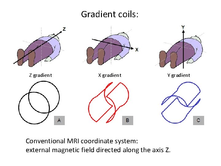 Gradient coils: Z gradient X gradient Y gradient Conventional MRI coordinate system: external magnetic