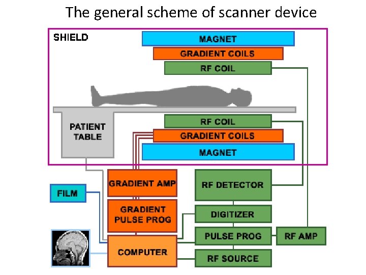 The general scheme of scanner device 