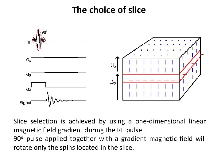 The choice of slice Slice selection is achieved by using a one-dimensional linear magnetic