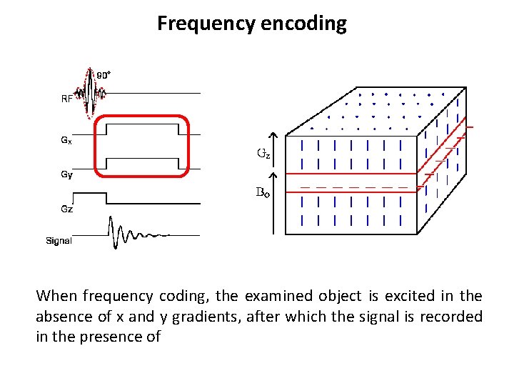 Frequency encoding When frequency coding, the examined object is excited in the absence of