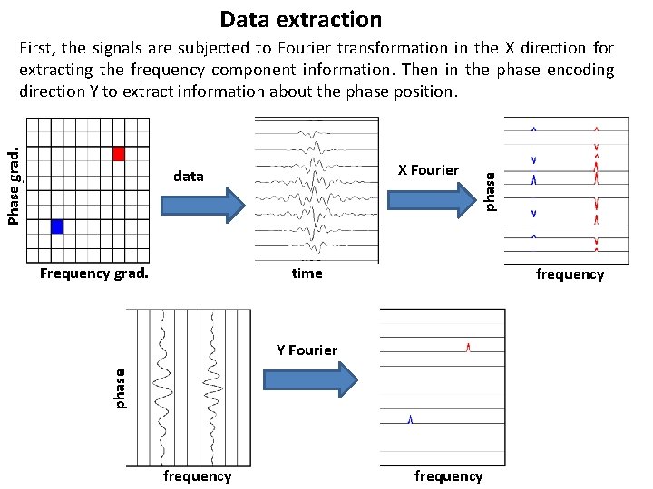 Data extraction X Fourier data Frequency grad. phase Phase grad. First, the signals are