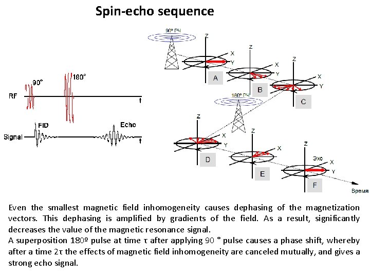 Spin-echo sequence Even the smallest magnetic field inhomogeneity causes dephasing of the magnetization vectors.