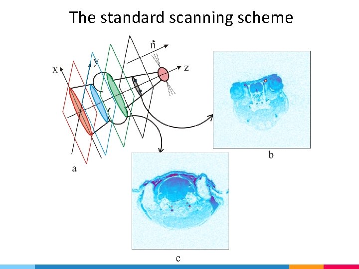 The standard scanning scheme 