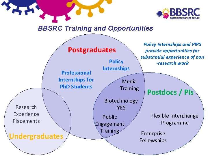 BBSRC Training and Opportunities Postgraduates Professional Internships for Ph. D Students Research Experience Placements
