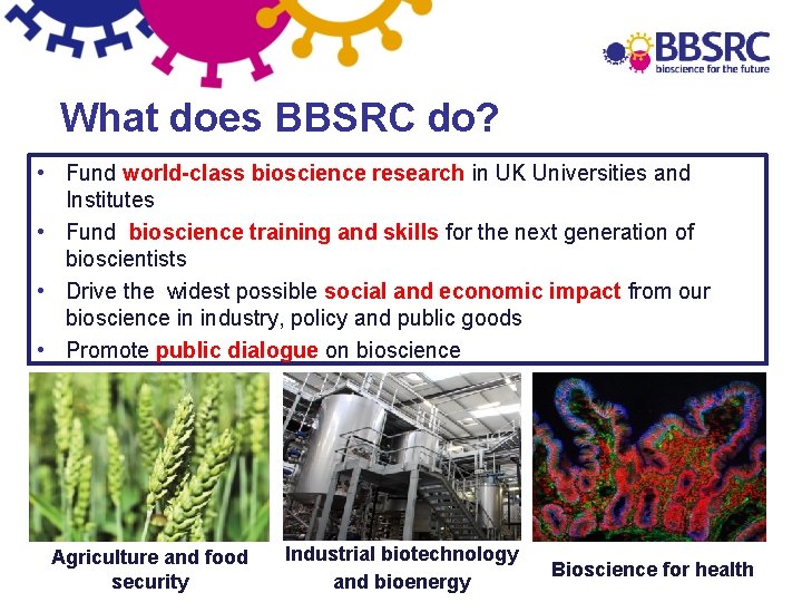 What does BBSRC do? • Fund world-class bioscience research in UK Universities and Institutes