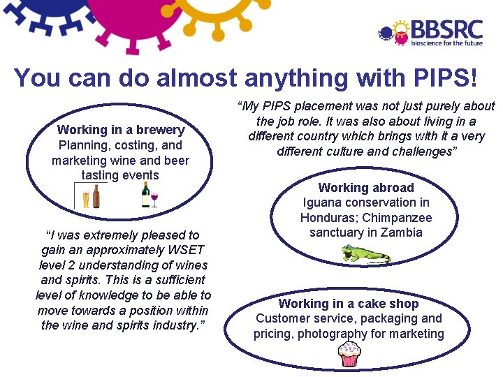 You can do almost anything with PIPS! Working in a brewery Planning, costing, and