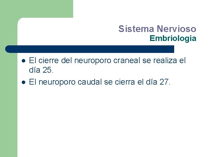 Sistema Nervioso Embriologia l l El cierre del neuroporo craneal se realiza el día