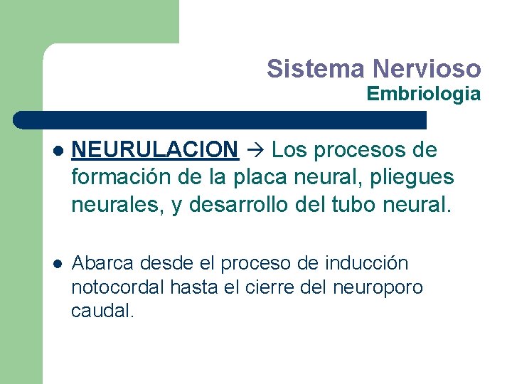 Sistema Nervioso Embriologia l NEURULACION Los procesos de formación de la placa neural, pliegues