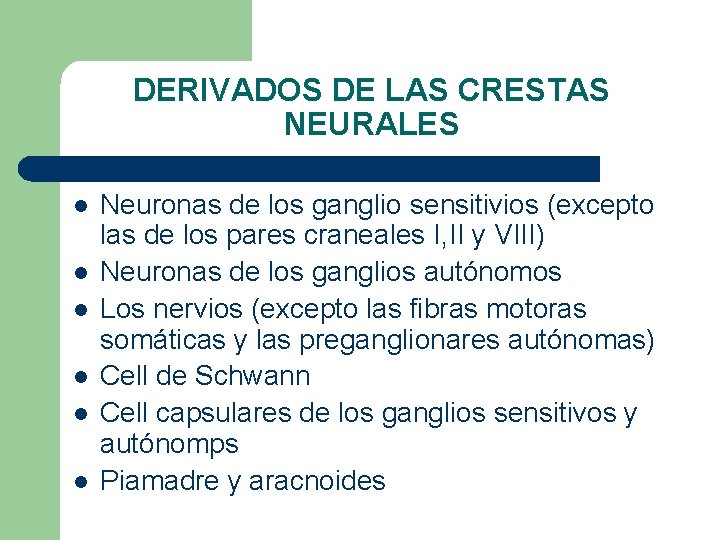 DERIVADOS DE LAS CRESTAS NEURALES l l l Neuronas de los ganglio sensitivios (excepto