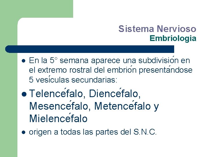 Sistema Nervioso Embriologia l En la 5° semana aparece una subdivisio n en el