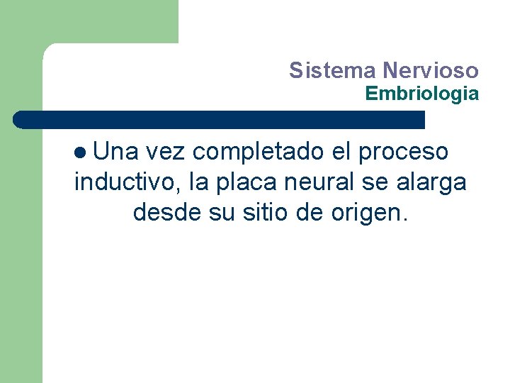 Sistema Nervioso Embriologia l Una vez completado el proceso inductivo, la placa neural se