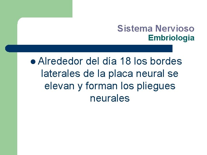 Sistema Nervioso Embriologia l Alrededor del día 18 los bordes laterales de la placa
