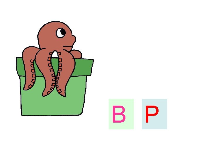 B P 